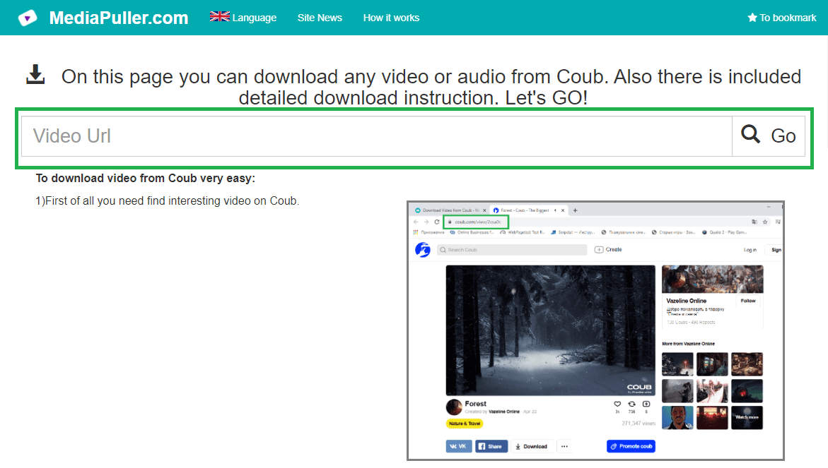 How to download video or photo from Coub