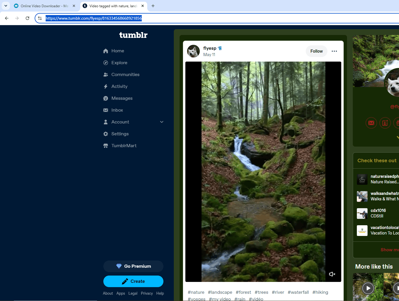 Tumblr-Beitrag mit einem Video öffnen