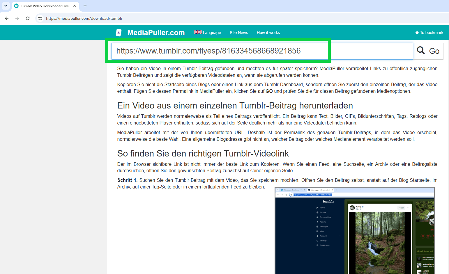 Direkten Link zu einem Tumblr-Beitrag kopieren